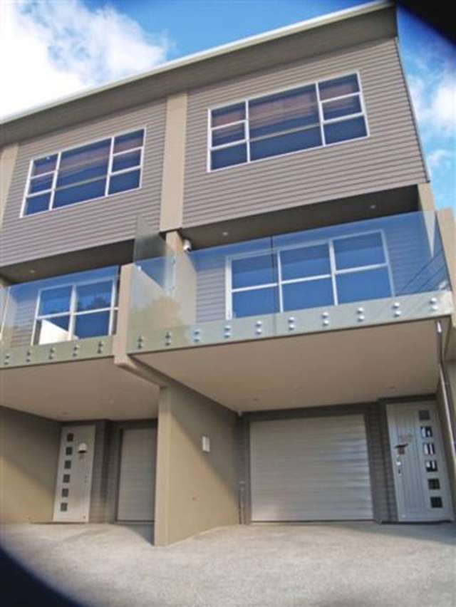 1a Queenstown Road Hillsborough_1