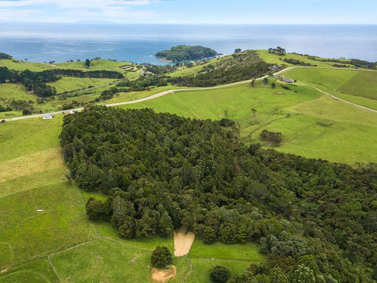 26 Cape Rodney Road Leigh_20