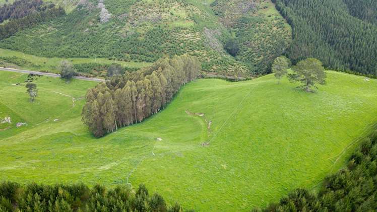 Lot 2 Te Kopia Road Waikite Valley_6