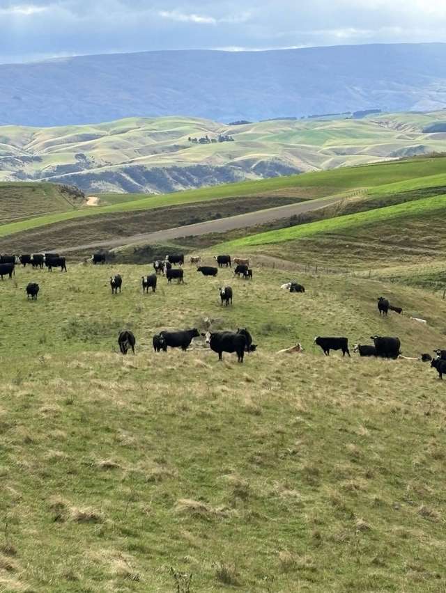 612 Oven Hill Road Lake Onslow_2