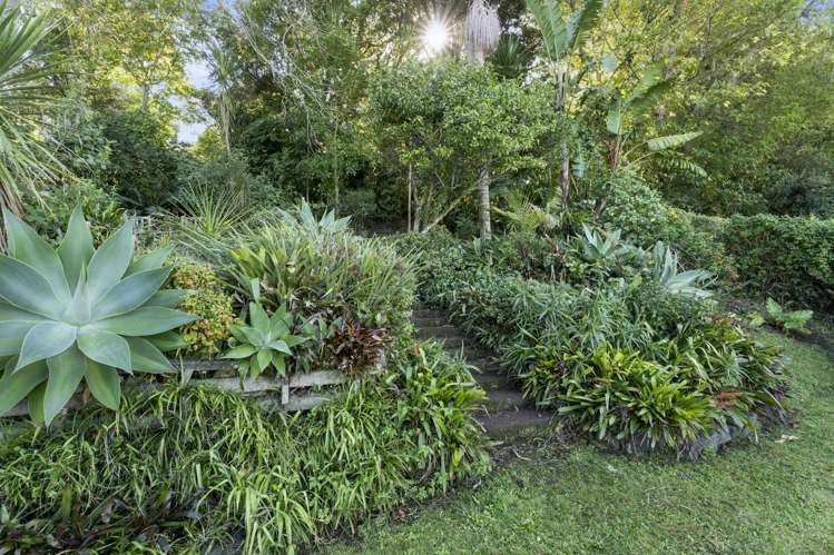 29 Mount Royal Avenue Mount Albert_30