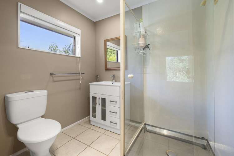 1058 Old Mountain Road Raglan_16