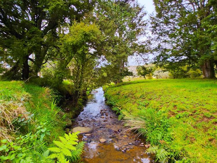 137 Opouteke Road Dargaville Surrounds_9
