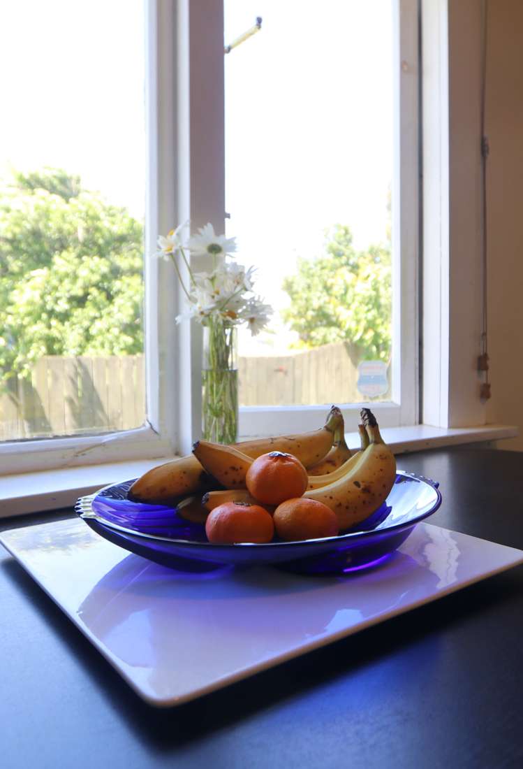 97 Teviot Street Appleby_10