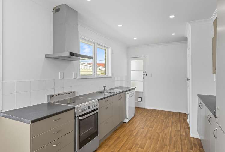 4 Ross Street Levin_4