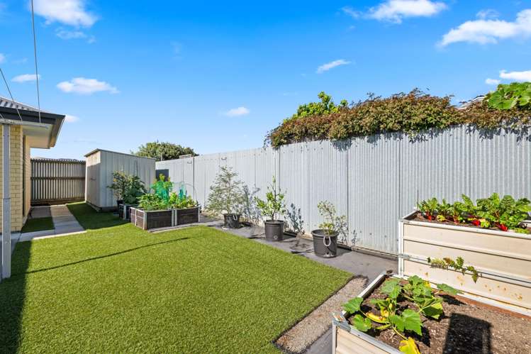 30 Howick Road Redwoodtown_17