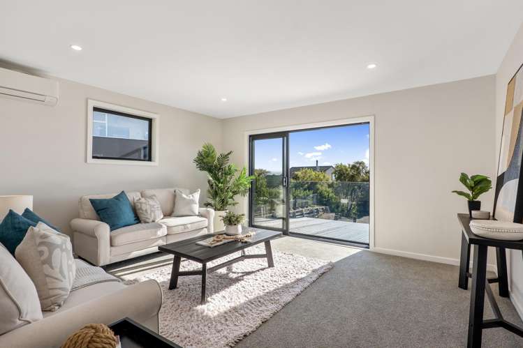 167 Soleares Avenue Mt Pleasant_14