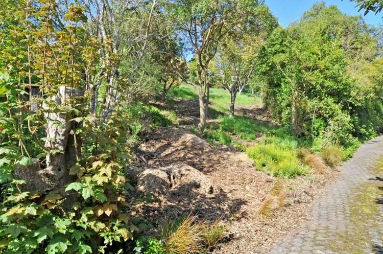 35b Kiwi Street Saint Leonards_1