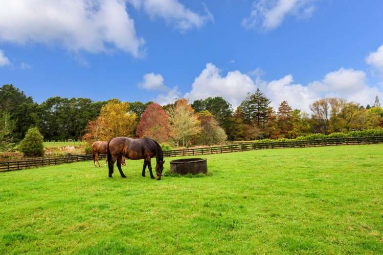 240 Mill Flat Road Riverhead_26