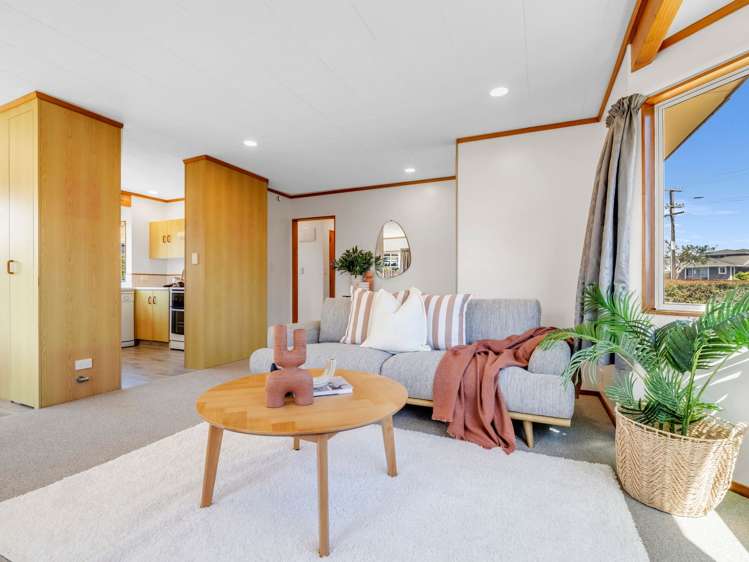 458B Ngatai Road Bellevue_4