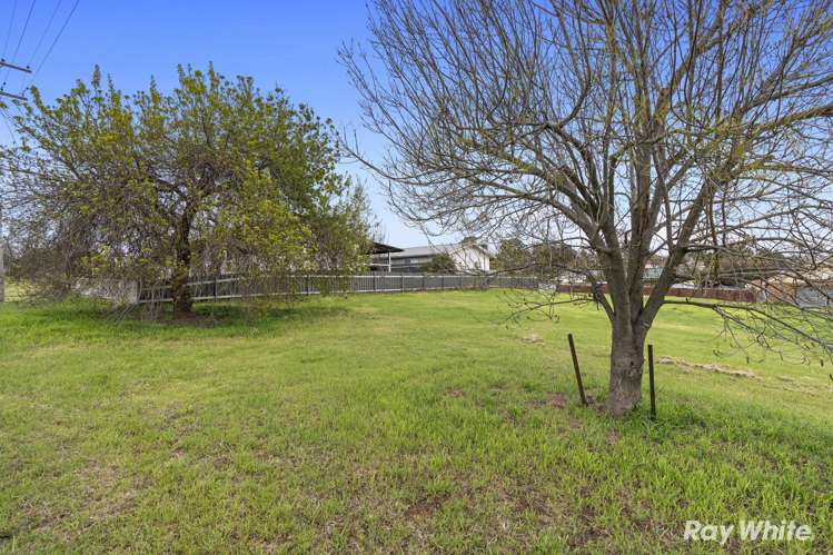 31 Percy Street Junee_1