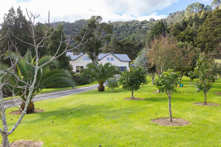 17 Christine Place Warkworth_9