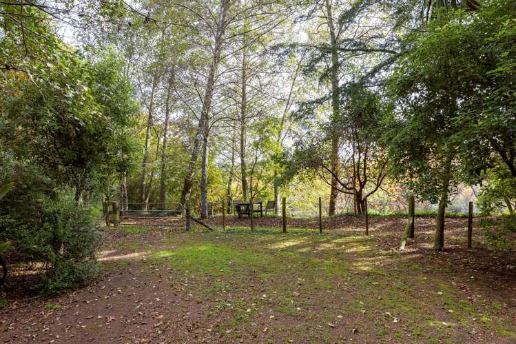1429 River Road Broadlands_22