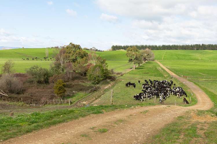 2048 State Highway 50 Ongaonga_21