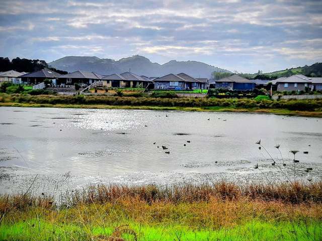 117 Wairau Drive Tikipunga_2