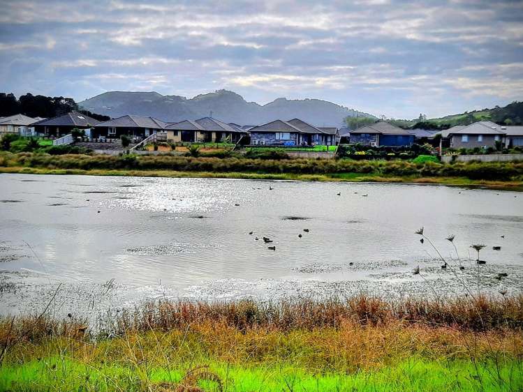 117 Wairau Drive Tikipunga_2