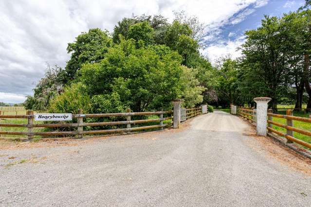 78286 State Highway II Dannevirke_1