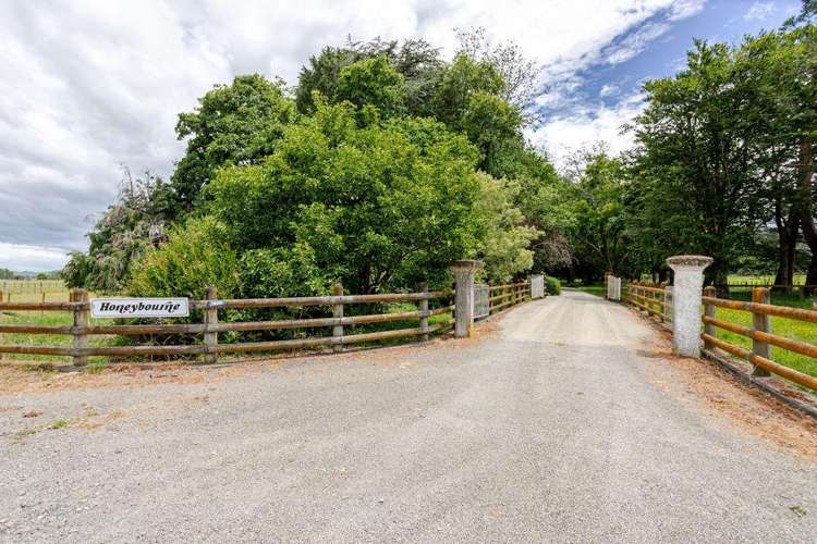 78286 State Highway II Dannevirke_1