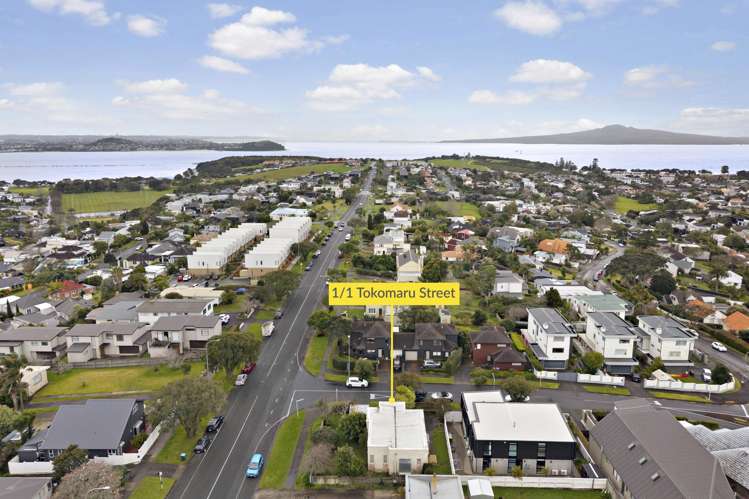 1/1 Tokomaru Street Orakei_2