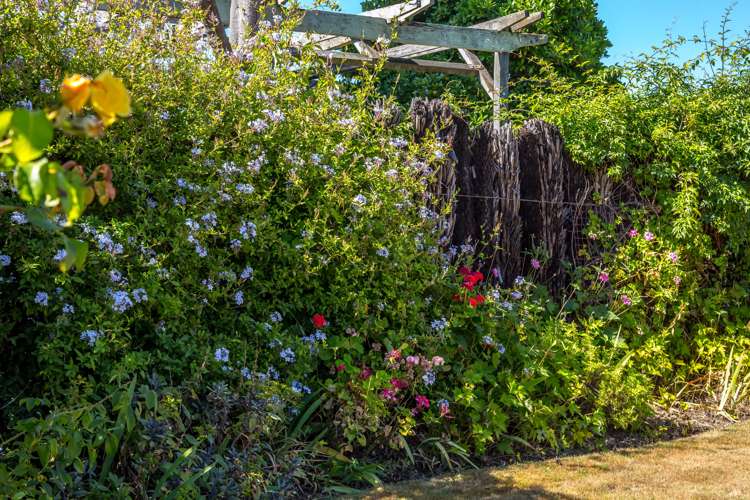 94 Church Street Masterton_21