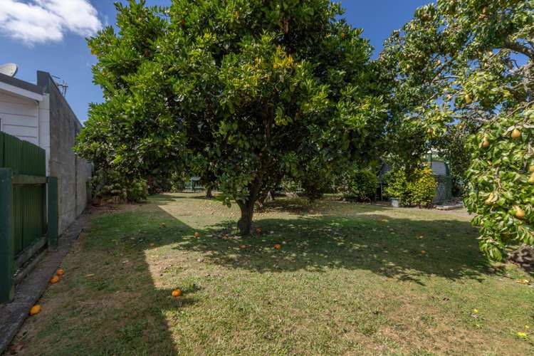 4 Glen Street Levin_22