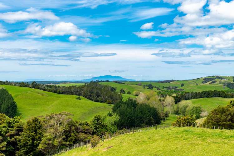 39a Cemetery Road Te Arai_17