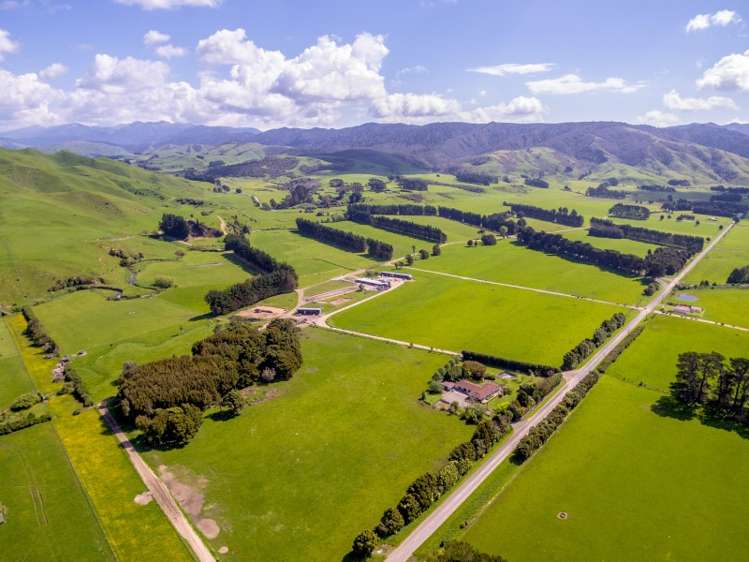 1125 Kakariki Road Eketahuna_0