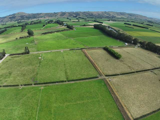 305 Riverside Road Taieri Plain_2