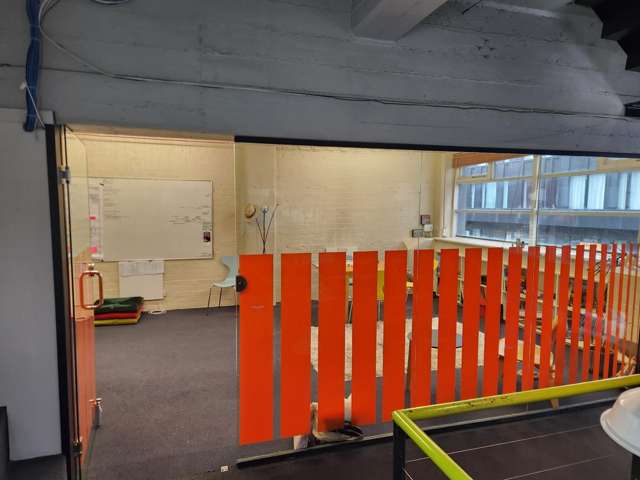 Mezzanine/104 Vivian Street Te Aro_3