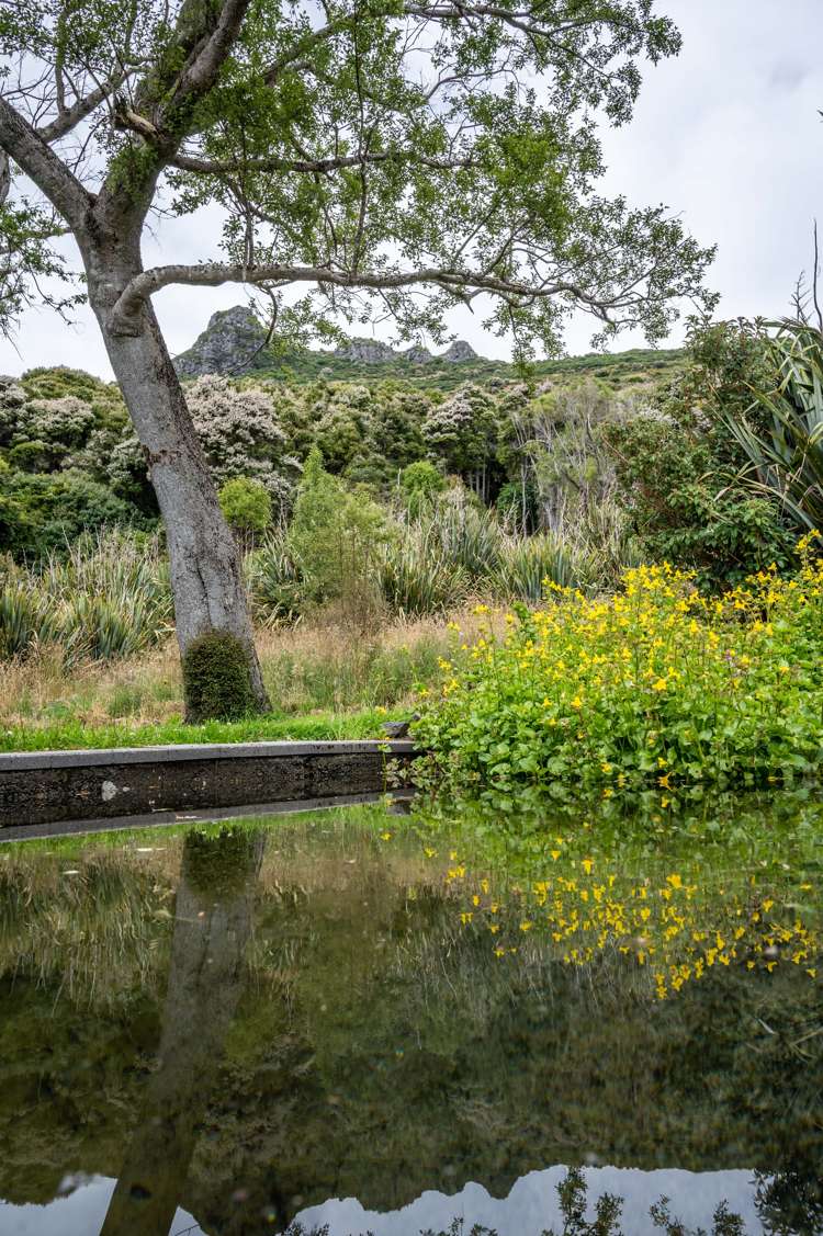 245 Stony Bay Road Akaroa_26