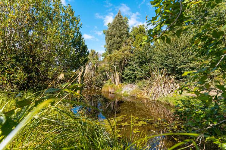 175 Papawai Road Greytown_19