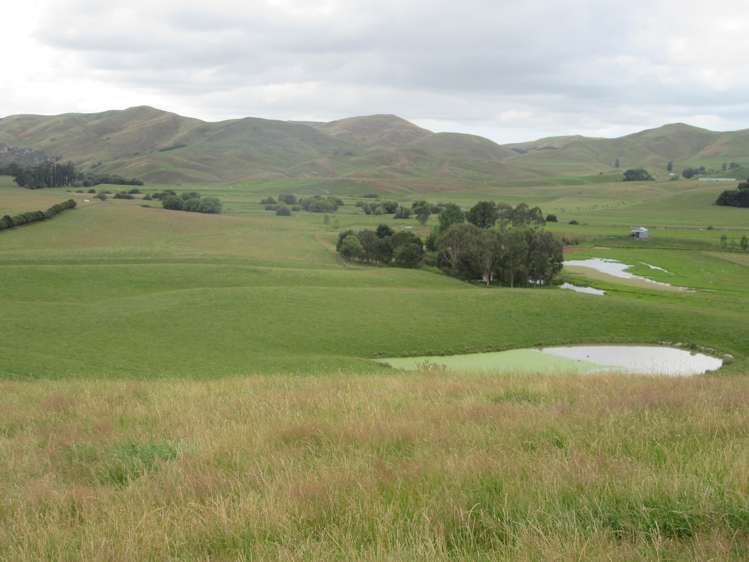 359 Mangatarata Road Hawkes Bay_15