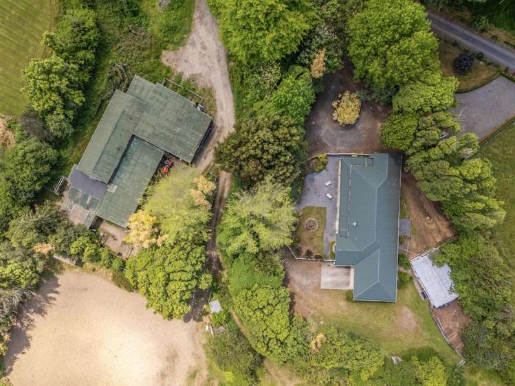 3/193 Racecourse Road Cambridge_18