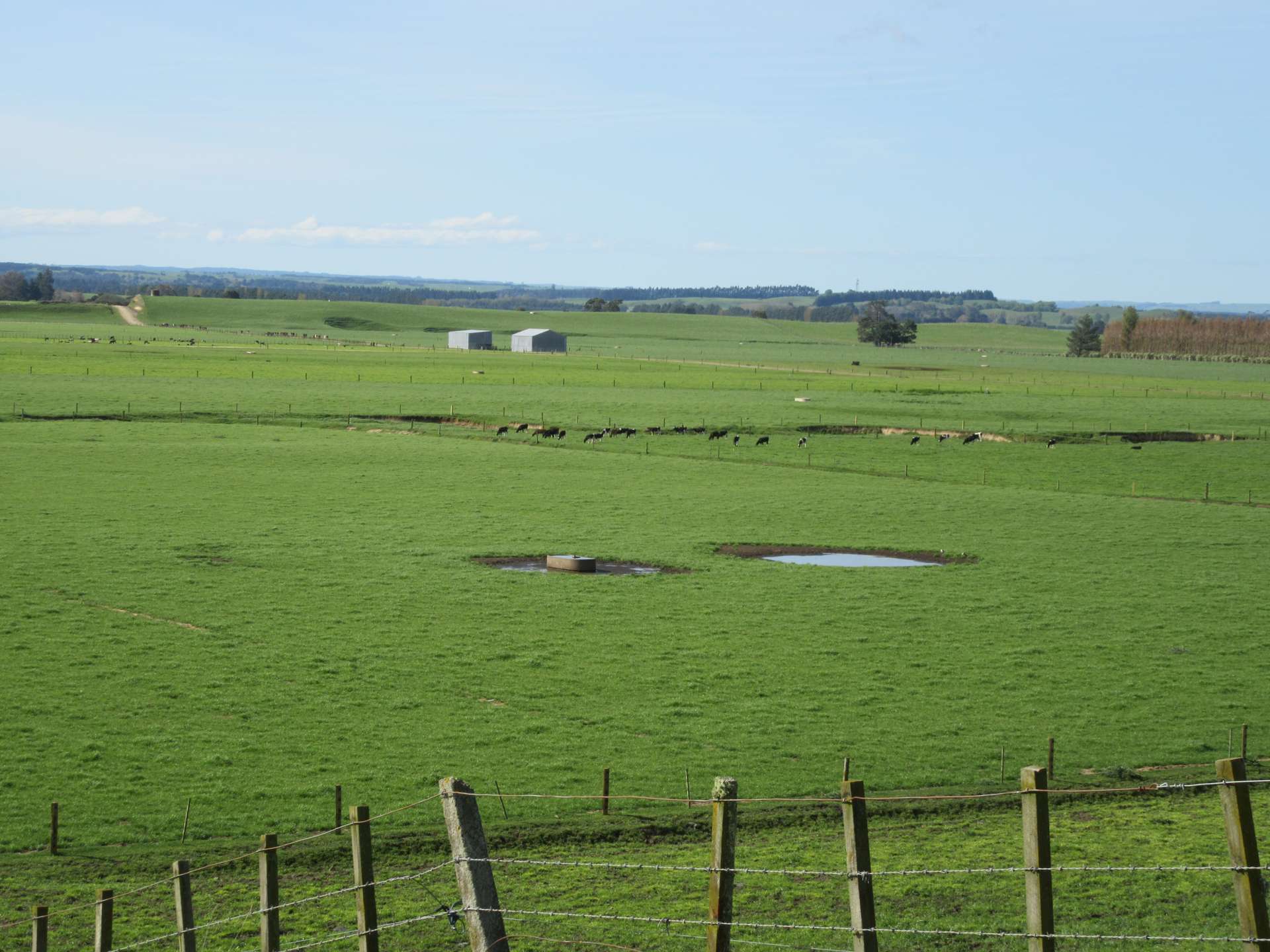 142 Paget Road Rangitikei Surrounds_0