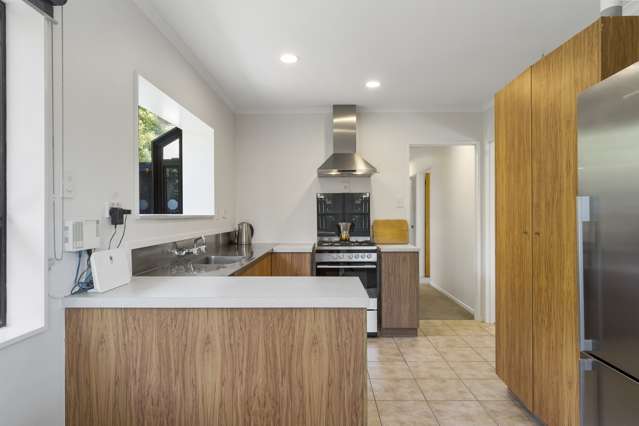 17b Phyllis Street Mount Albert_3