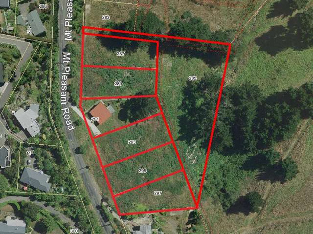 285, 287, 289, 293, 295, 297 Mt Pleasant Road Mt Pleasant_3