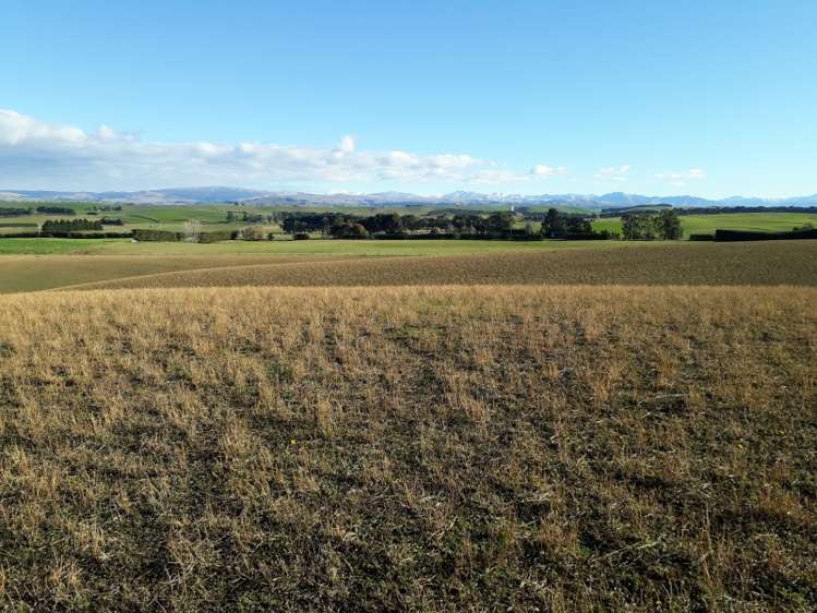 211 Whitstone-Five Forks Road Five Forks and Surrounds_7