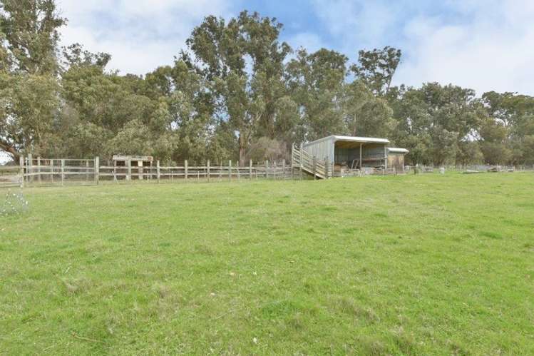 354 Terrace Road Leithfield_11