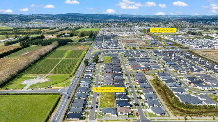 36 Sapwood Crescent Takanini_6