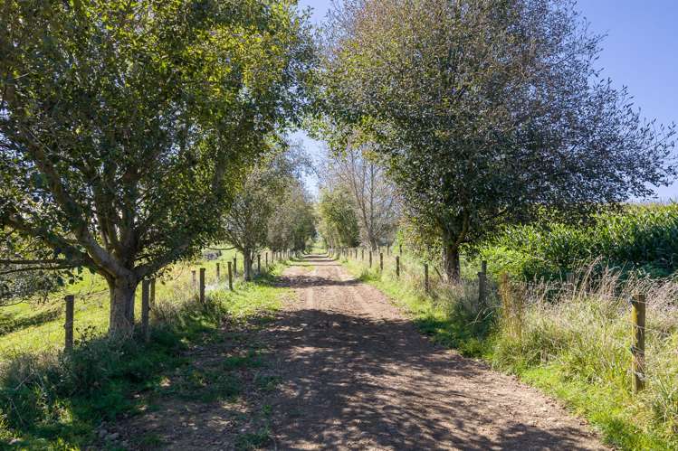 Lot 2/4/366 Karapiro Road Karapiro_17