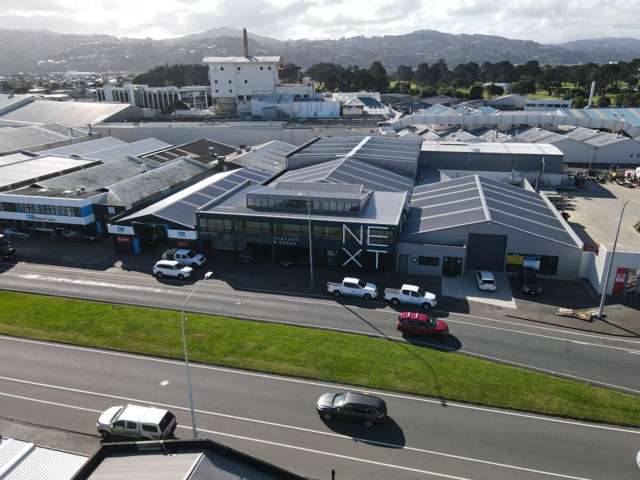 69 Waione Street Petone_2