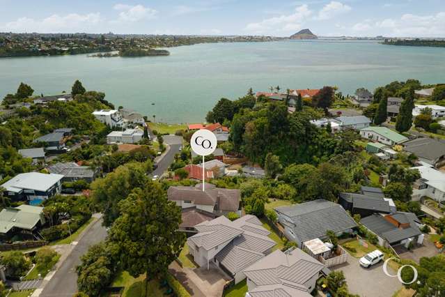 214 Maungatapu Road Maungatapu_2