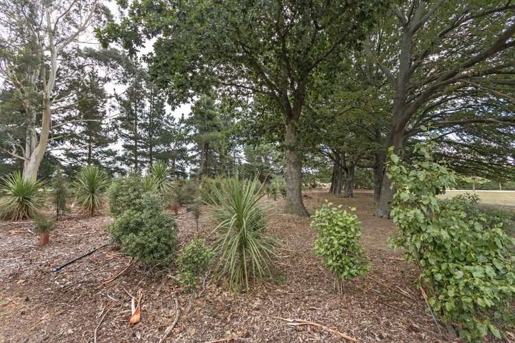 1119 Bealey Road Darfield_18