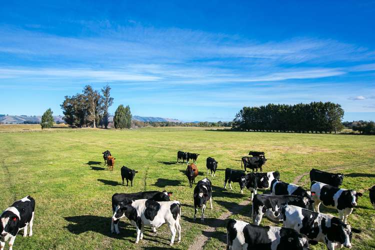 695 Outram-Mosgiel Road Mosgiel_15