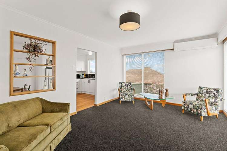7 Tower Crescent Durie Hill_6
