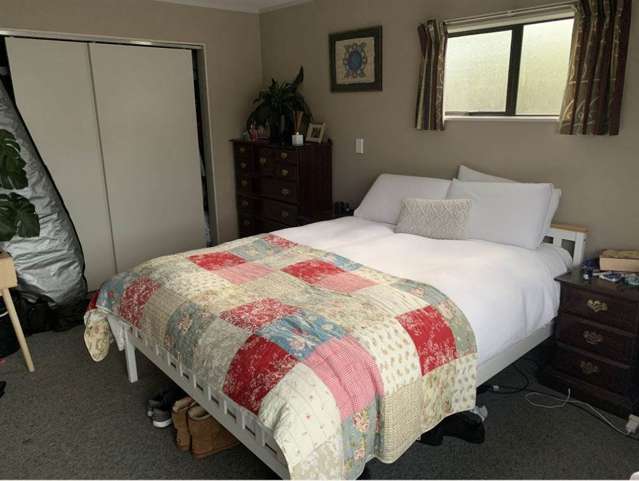 16 Chester Street Judea_4