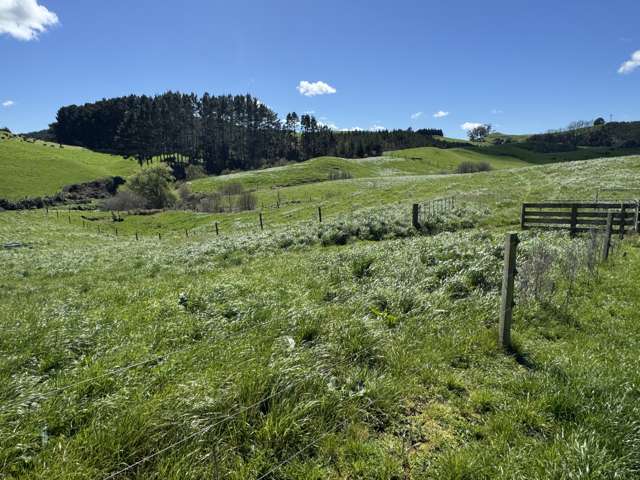 258 Wharepapa South Road Te Awamutu_4
