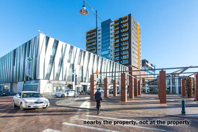 97 Hutchinson Avenue New Lynn_23