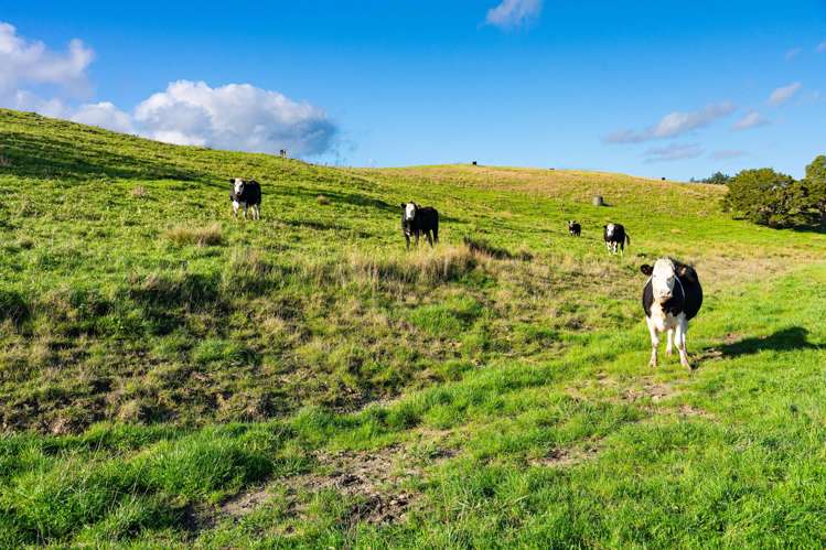 23A Kaitara Lane Kaiwaka_19