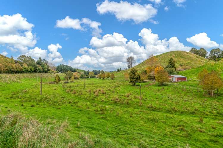 3781 Pohangina Road Apiti_13